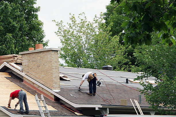 Best Roof Coating and Sealing  in Lake Caroline, VA